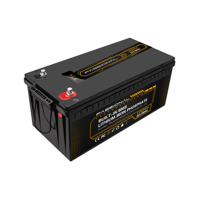 High Security 24V 100Ah Rechargeable LiFePO4 Battery For Electric Forklift EV
